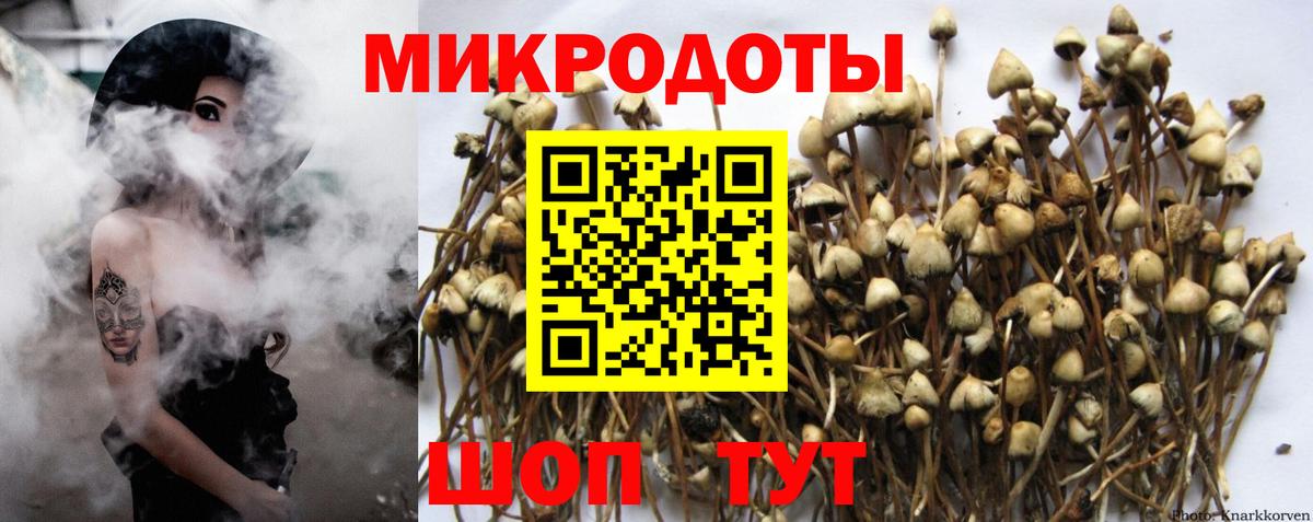 Псилоцибиновые грибы мухоморы Тара