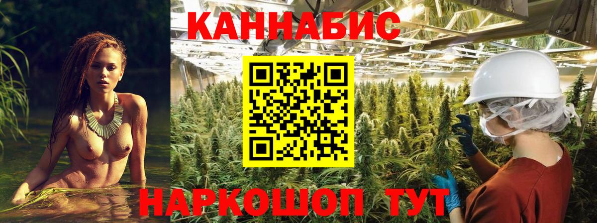 Бошки Шишки планчик  Каннабис Amnesia  Шишки марихуана план  Тара  Вход с VPN 
